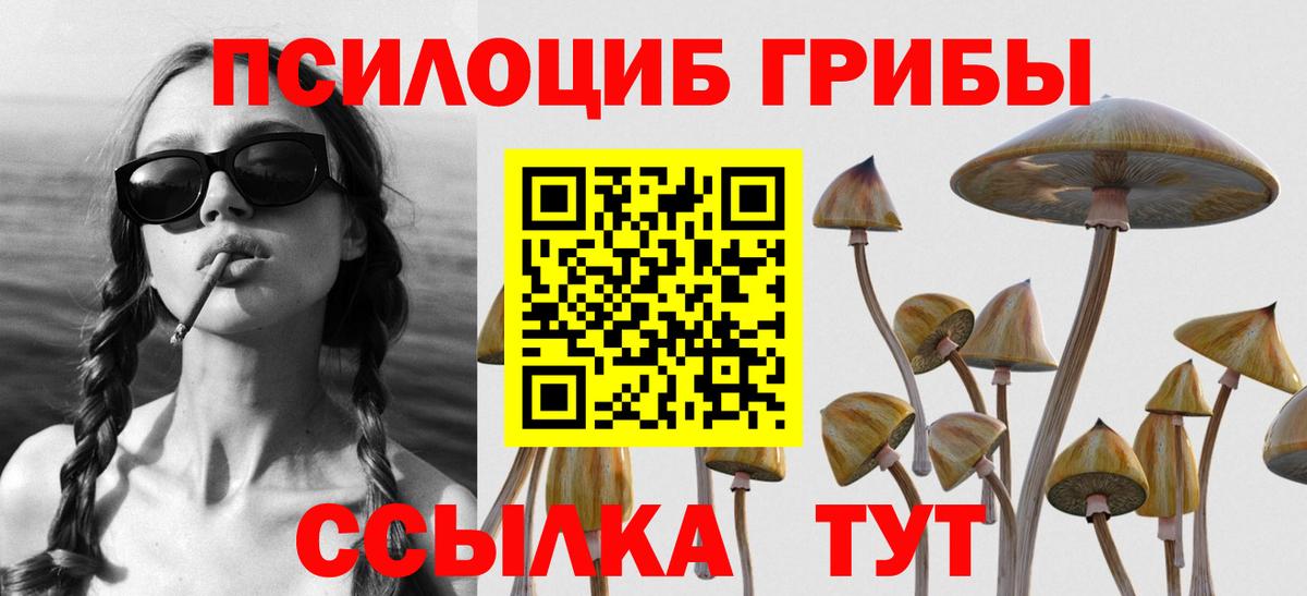 Гурьевск  Псилоцибиновые грибы ЛСД  наркотики  Галлюциногенные грибы MAGIC MUSHROOMS  Вход с VPN 