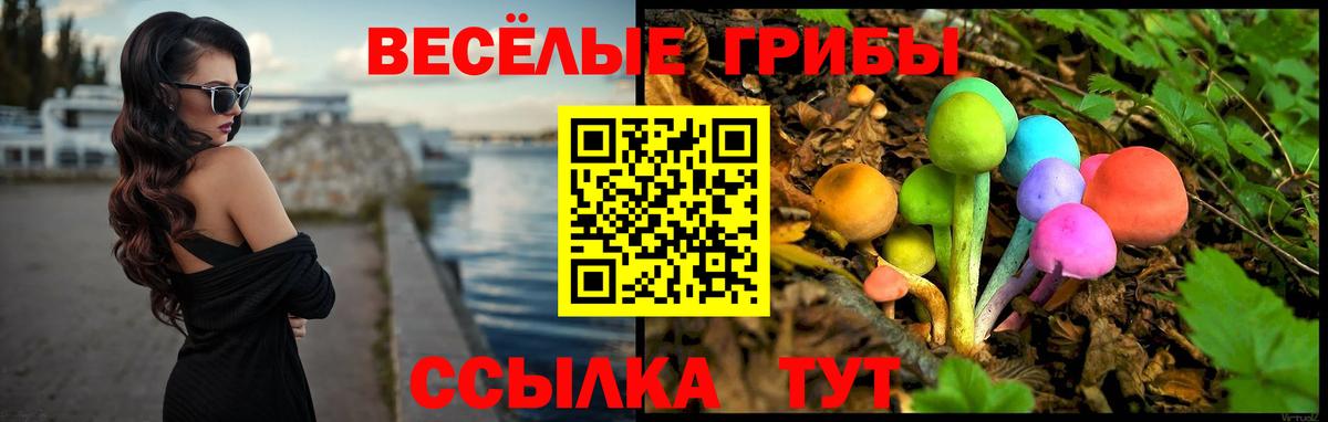 Псилоцибиновые грибы Magic Shrooms Гурьевск